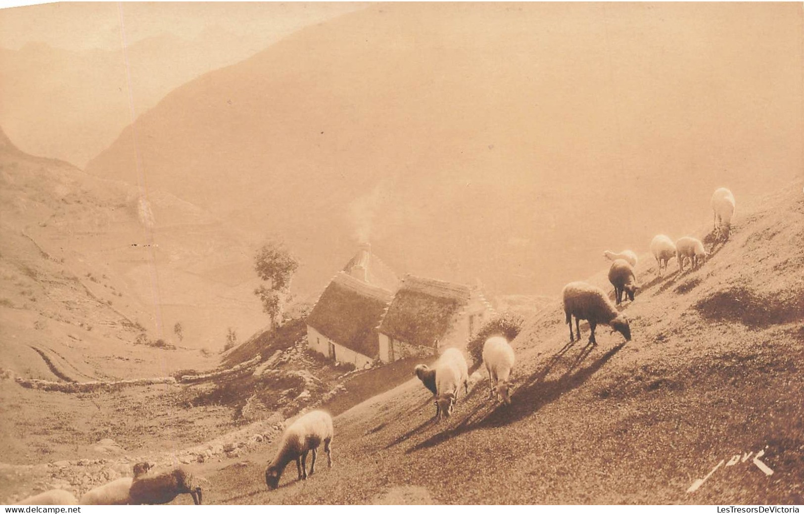 FRANCE - Gavarnie Hautes Pyrénées - Pâturage Dans La Montagne - Vue Générale - Carte Postale Ancienne - Argeles Gazost