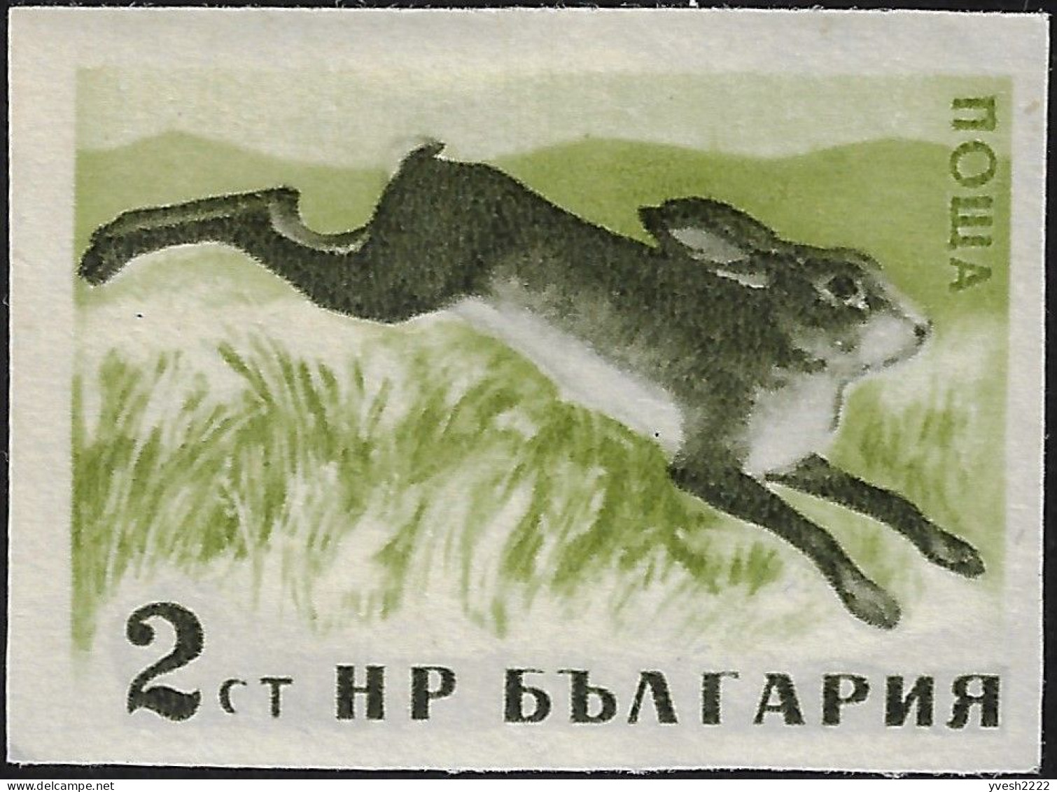 Bulgarie 1958 Y&T 921. Non Dentelé. Gibiers, Lapin - Conigli