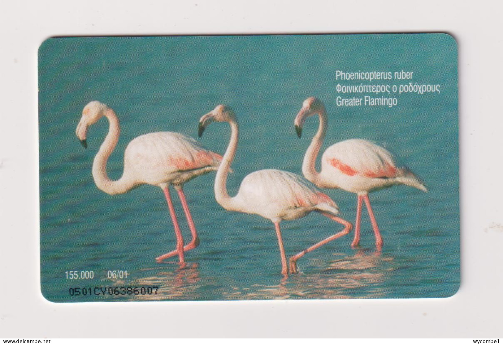 CYPRUS -  Birds Black Headed Gulls And Greater Flamingo Chip  Phonecard - Cyprus