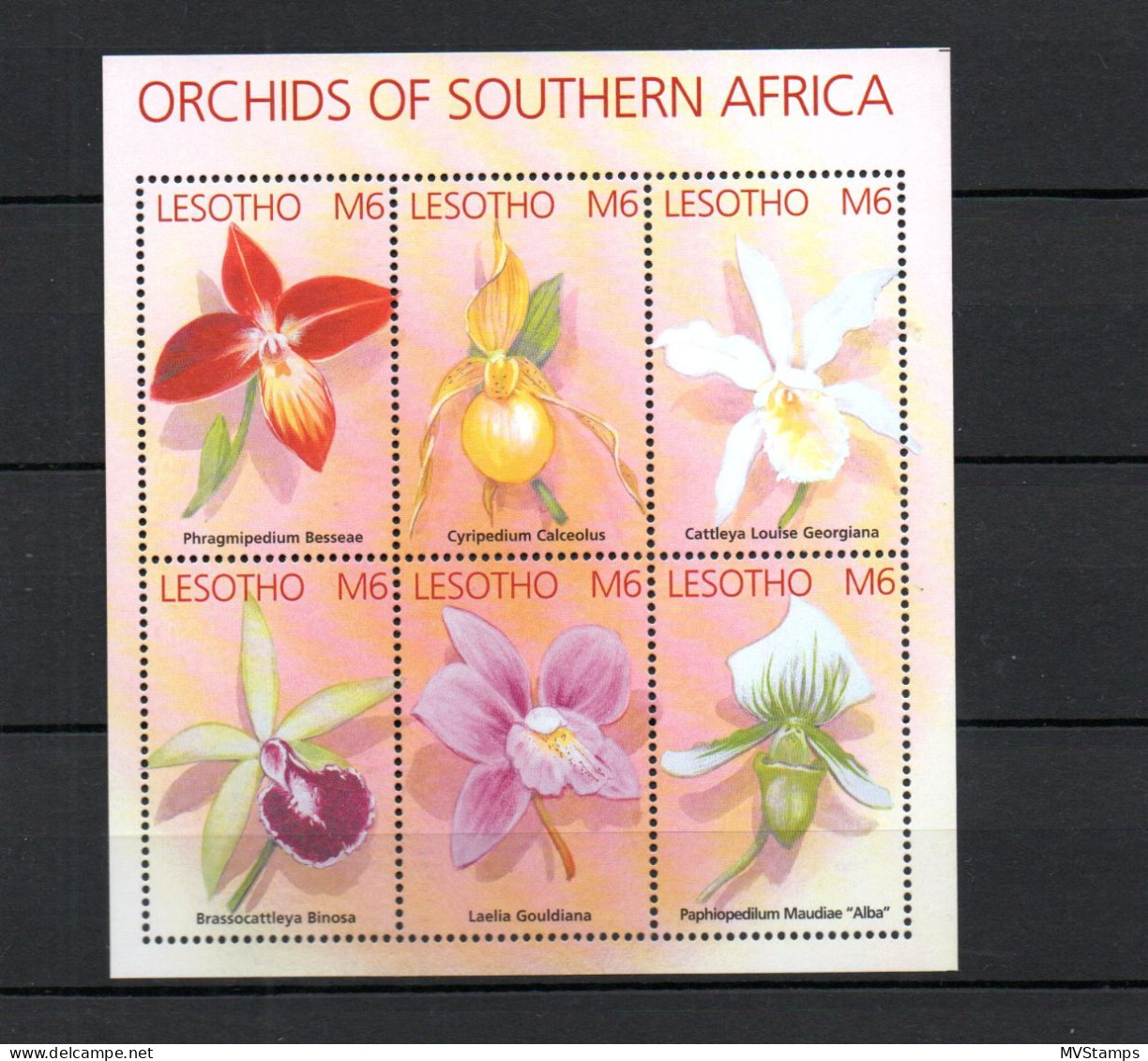 Lesotho 2004 Sheet Orchids/Flowers/Blumen Stamps (Michel Block ..) MNH - Lesotho (1966-...)