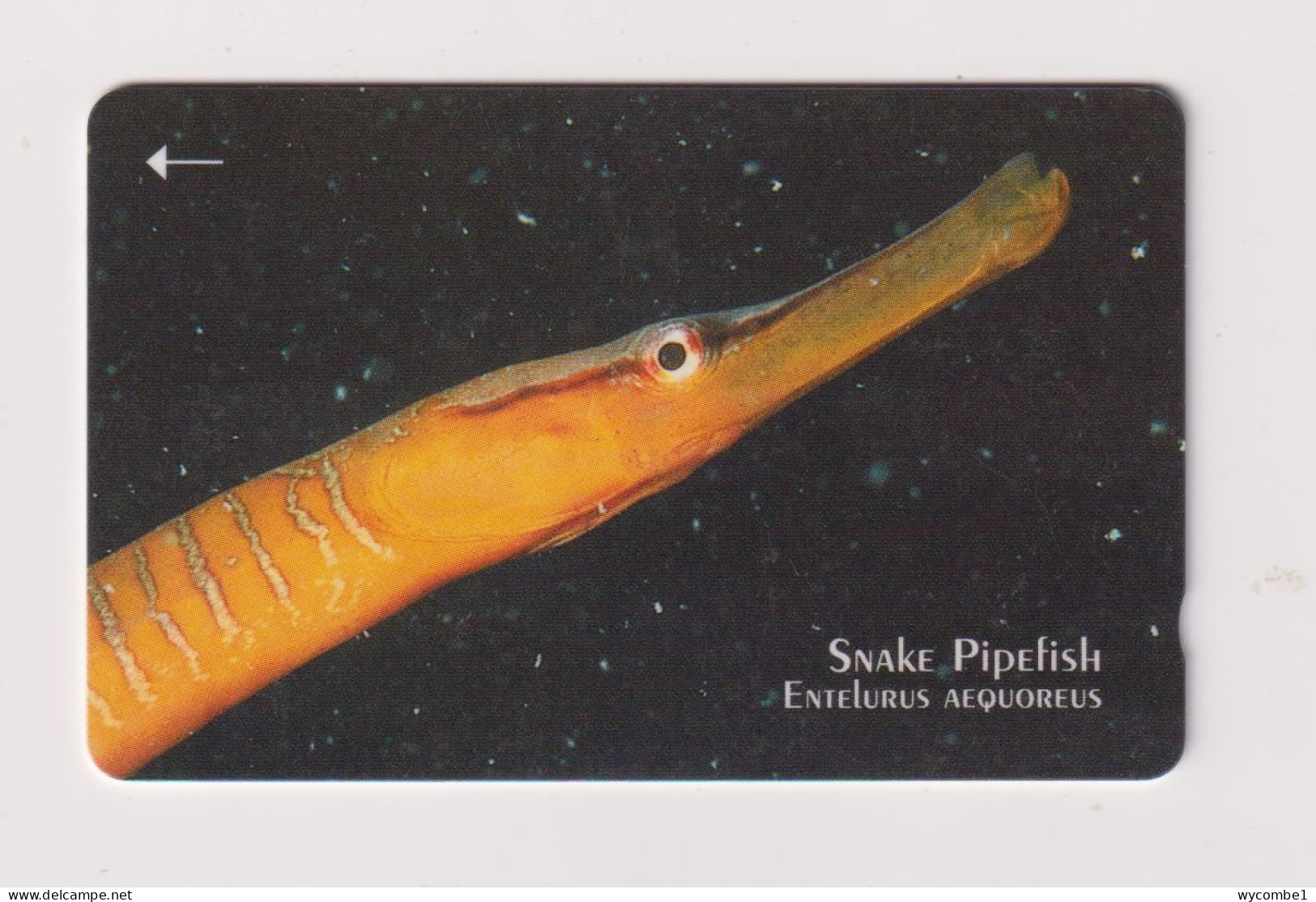 JERSEY -  Snake Pipefish GPT Magnetic  Phonecard - Jersey E Guernsey