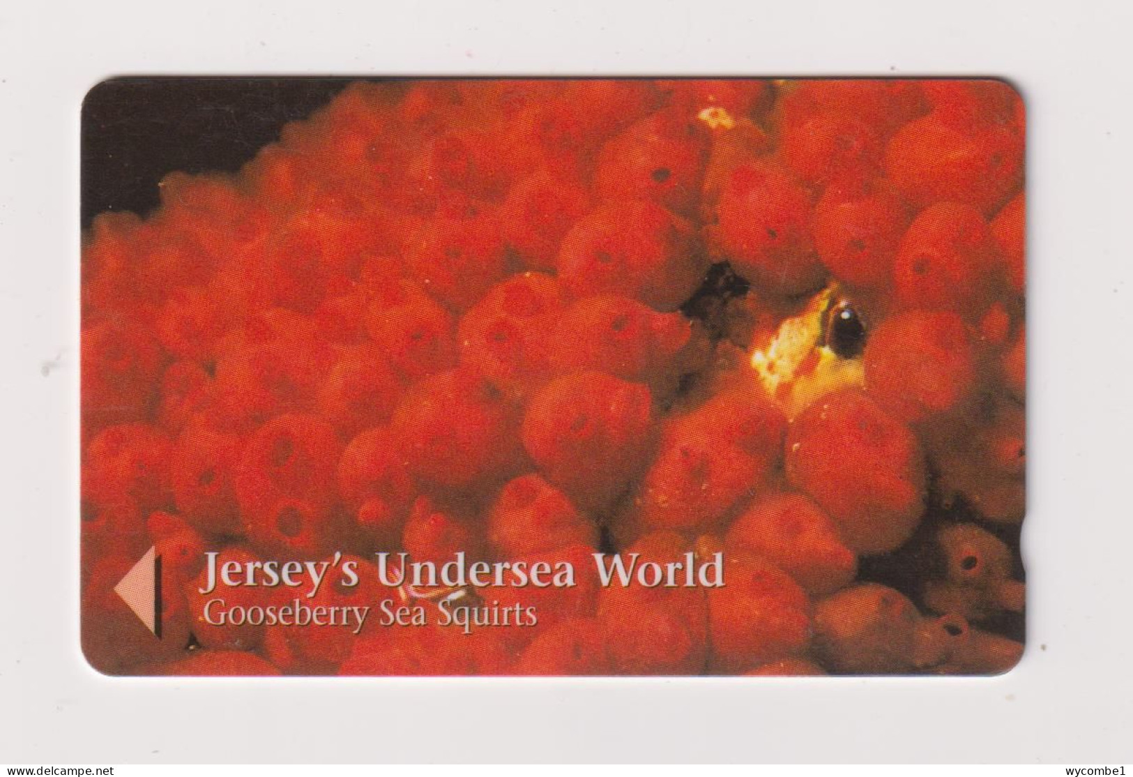 JERSEY -  Gooseberry Sea Squirts GPT Magnetic  Phonecard - [ 7] Jersey Und Guernsey