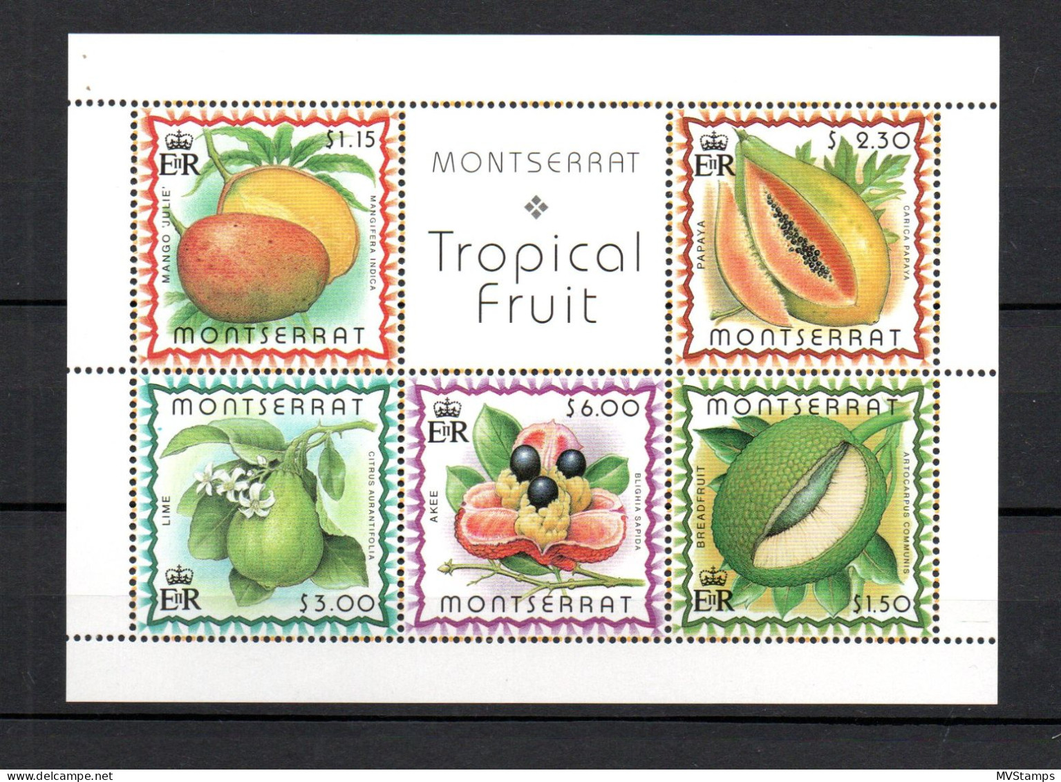 Montserrat 1999 Set Fruit/Flowers/Blumen Stamps (Michel Block 82) MNH - Montserrat