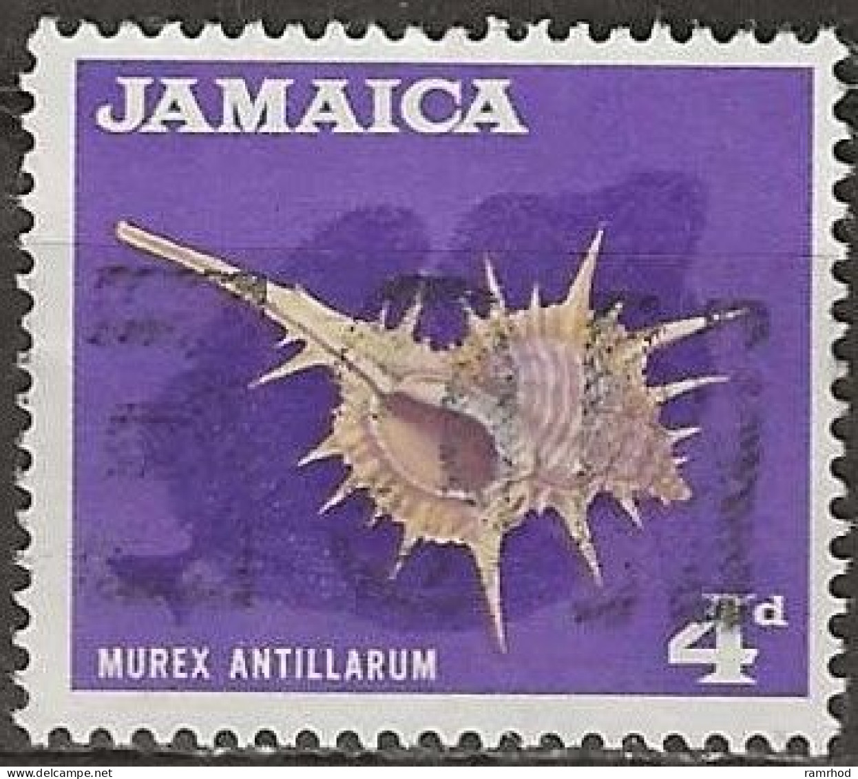 JAMAICA 1964 Antilean Murex (sea Shell) - 4d Ochre And Violet FU - Jamaica (1962-...)