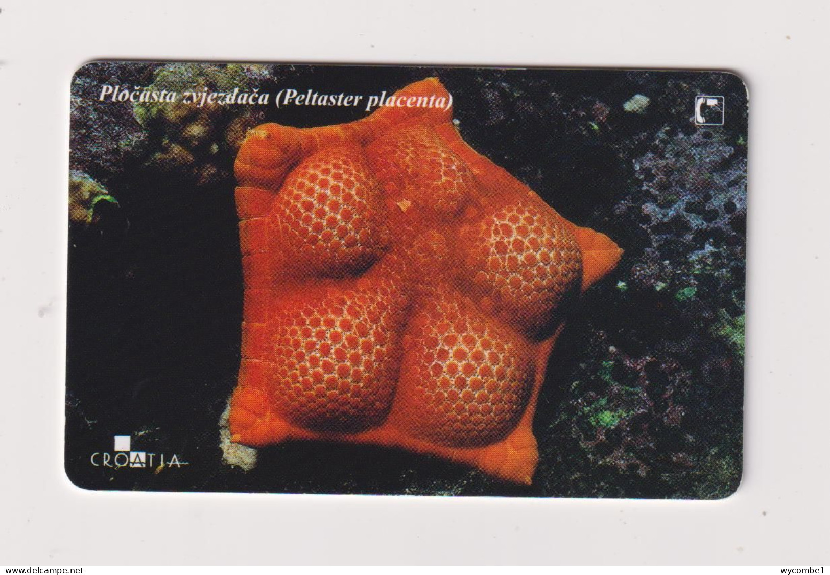 CROATIA -  Sea Life Chip  Phonecard - Croatie