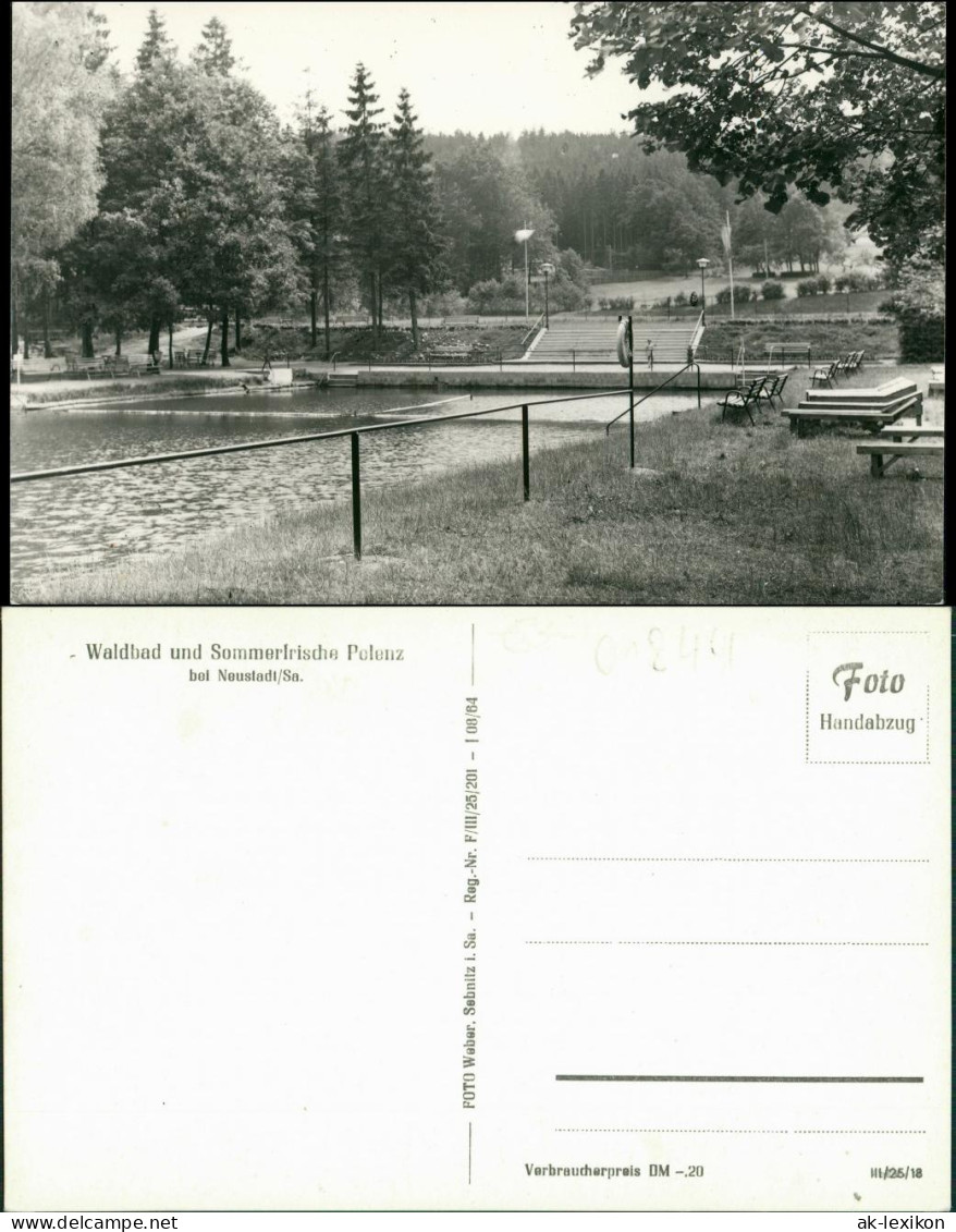 Ansichtskarte Polenz-Neustadt (Sachsen) Waldbad Polenz 1964  - Neustadt