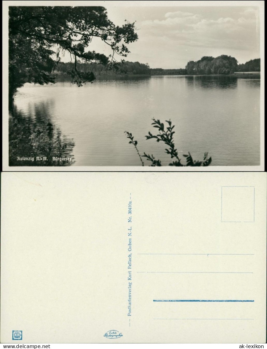 Postcard Zielenzig (Neumark) Sul&#281;cin Bürgersee 1931 - Neumark