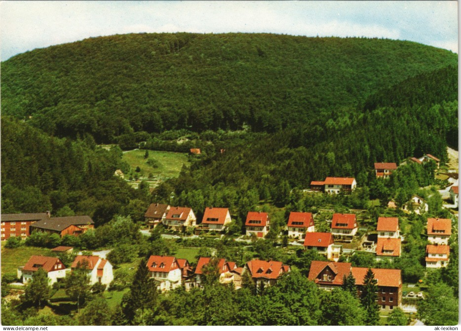 Bad Grund (Harz) Panorama-Ansicht Blick Auf Wohnhaus-Siedlung 1970 - Bad Grund