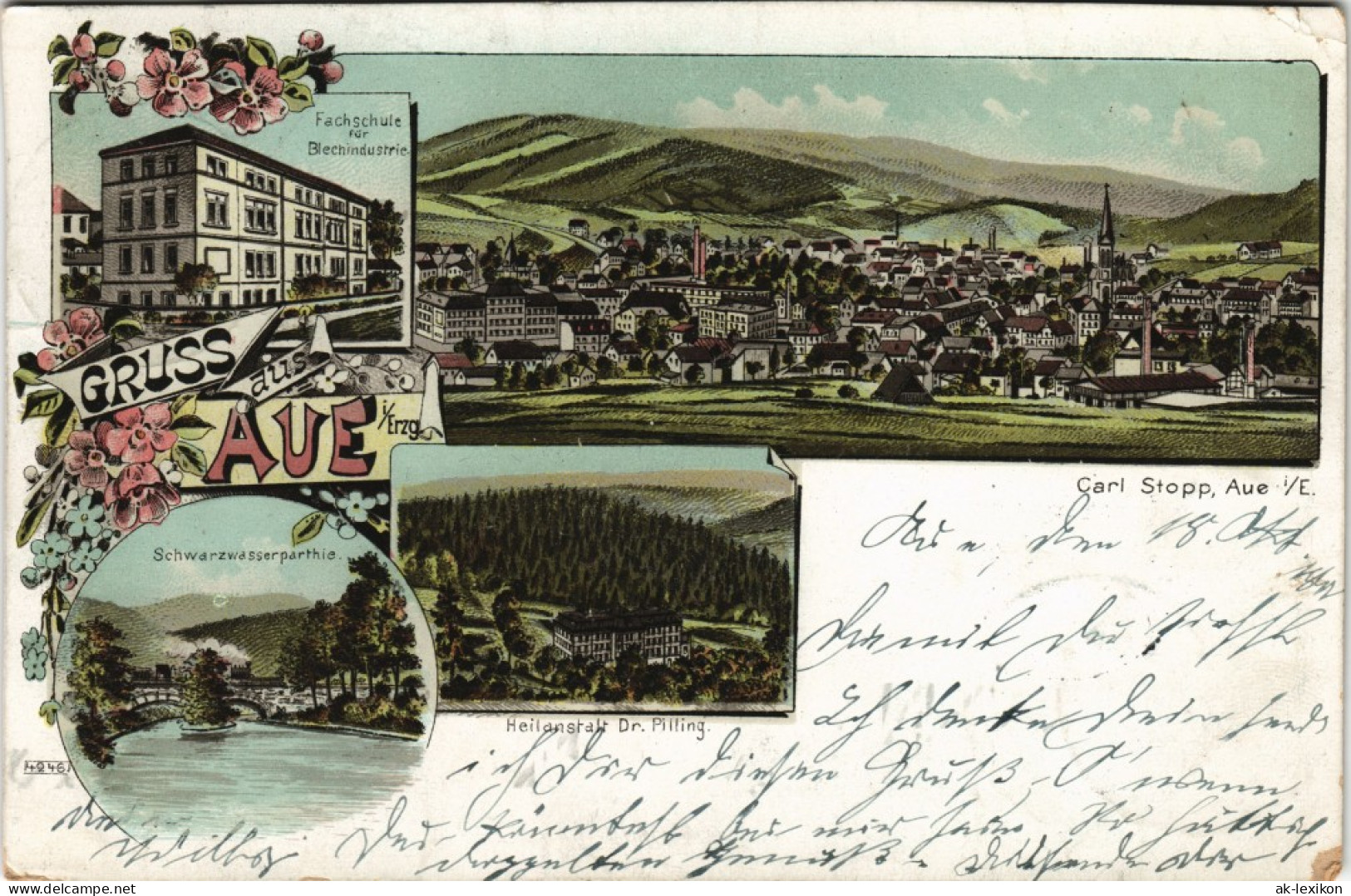 Ansichtskarte Aue (Erzgebirge) Faschshule, Straße, Heilanstalt 1899 - Aue
