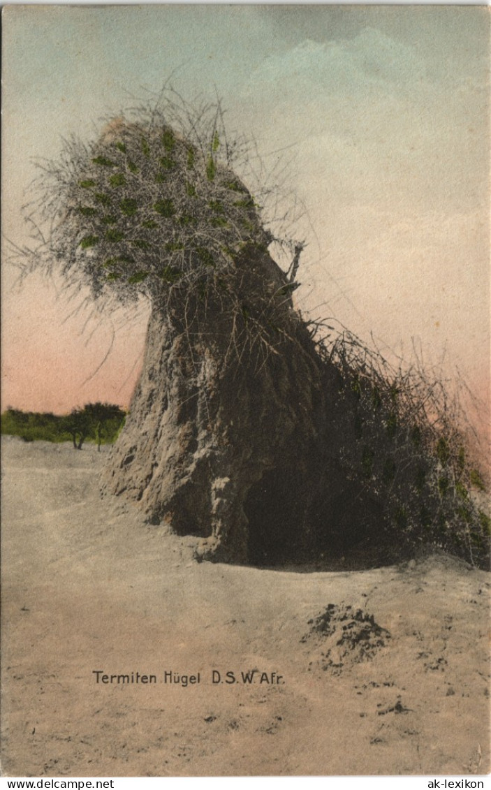 Postcard .Namibia Termiten Hügel Deutsch-Südwestafrika DSWA 1912 - Namibië