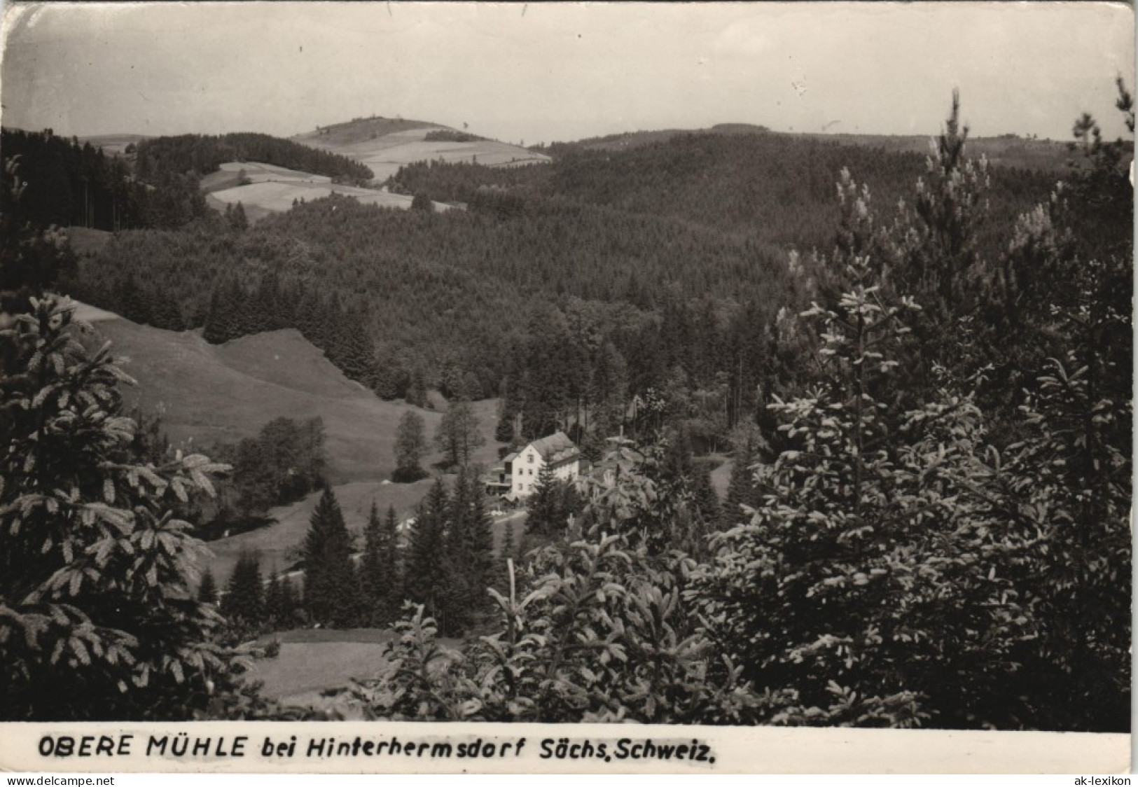 Ansichtskarte Hinterhermsdorf-Sebnitz Obere Mühle 1962 - Hinterhermsdorf
