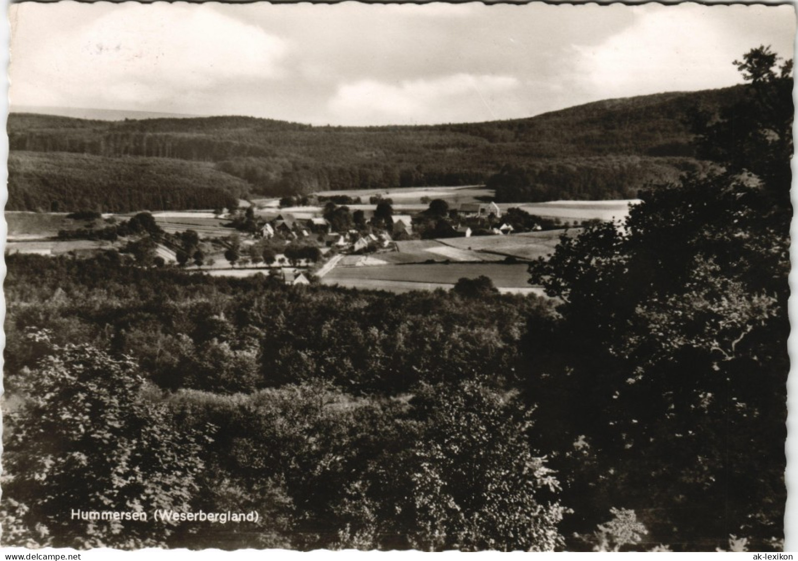 Hummersen (Weserbergland)-Lügde (Westfalen) Blick Auf Die Stadt 1965 - Lüdge