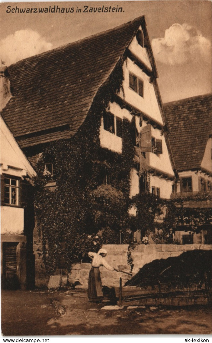 Ansichtskarte Bad Teinach-Zavelstein Ortsansicht Mit Schwarzwaldhaus 1910 - Bad Teinach