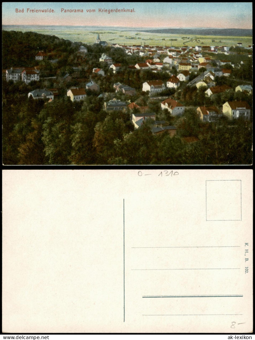 Ansichtskarte Bad Freienwalde Panorama Vom Kriegerdenkmal 1910 - Bad Freienwalde