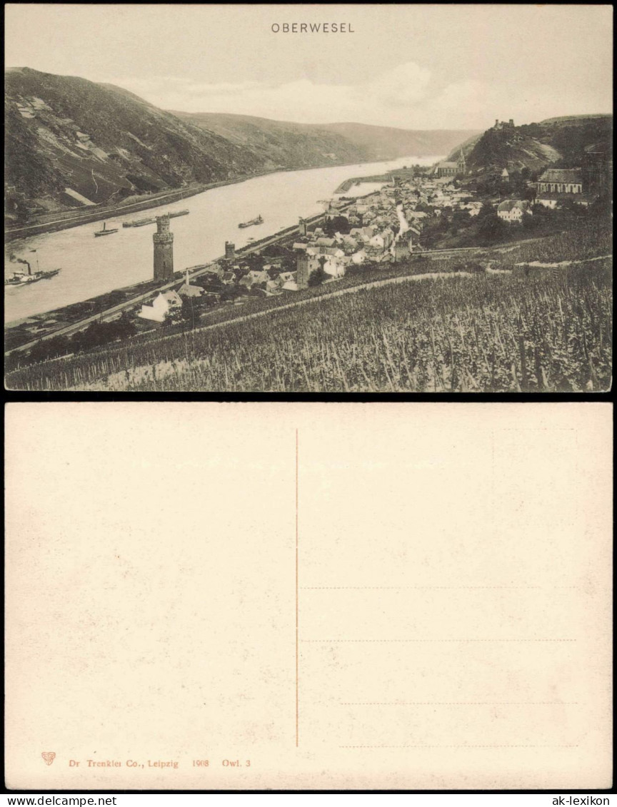 Ansichtskarte Oberwesel Panorama-Ansicht Rhein-Tal 1908 - Oberwesel