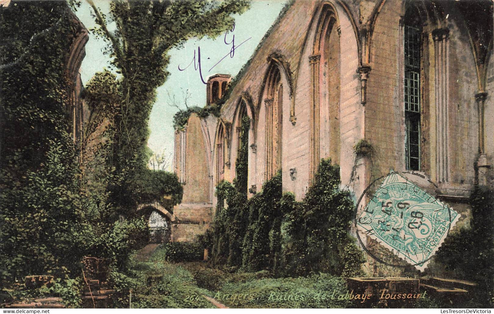 FRANCE - Angers - Ruines De L'Abbaye Toussaint - Végétation - Carte Postale Ancienne - Angers