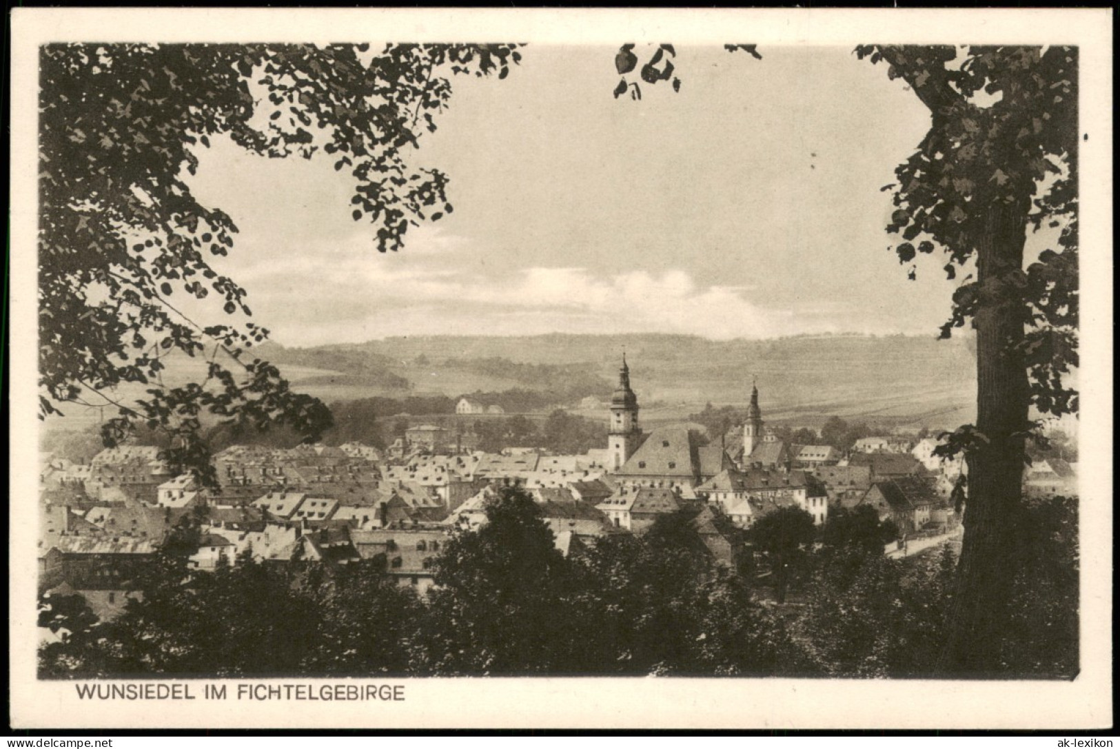 Ansichtskarte Wunsiedel (Fichtelgebirge) Blick Auf Die Stadt 1924 - Wunsiedel