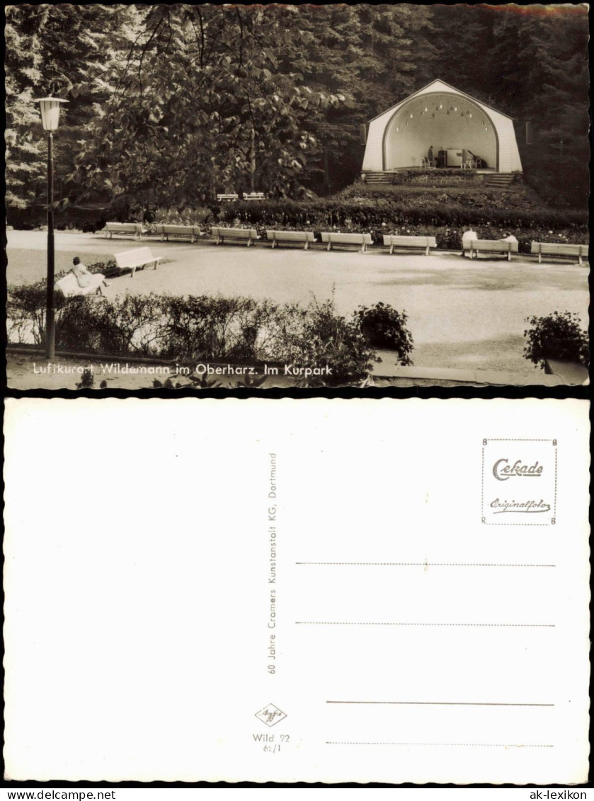 Ansichtskarte Wildemann (Innerstetal) Kurpark 1962 - Wildemann