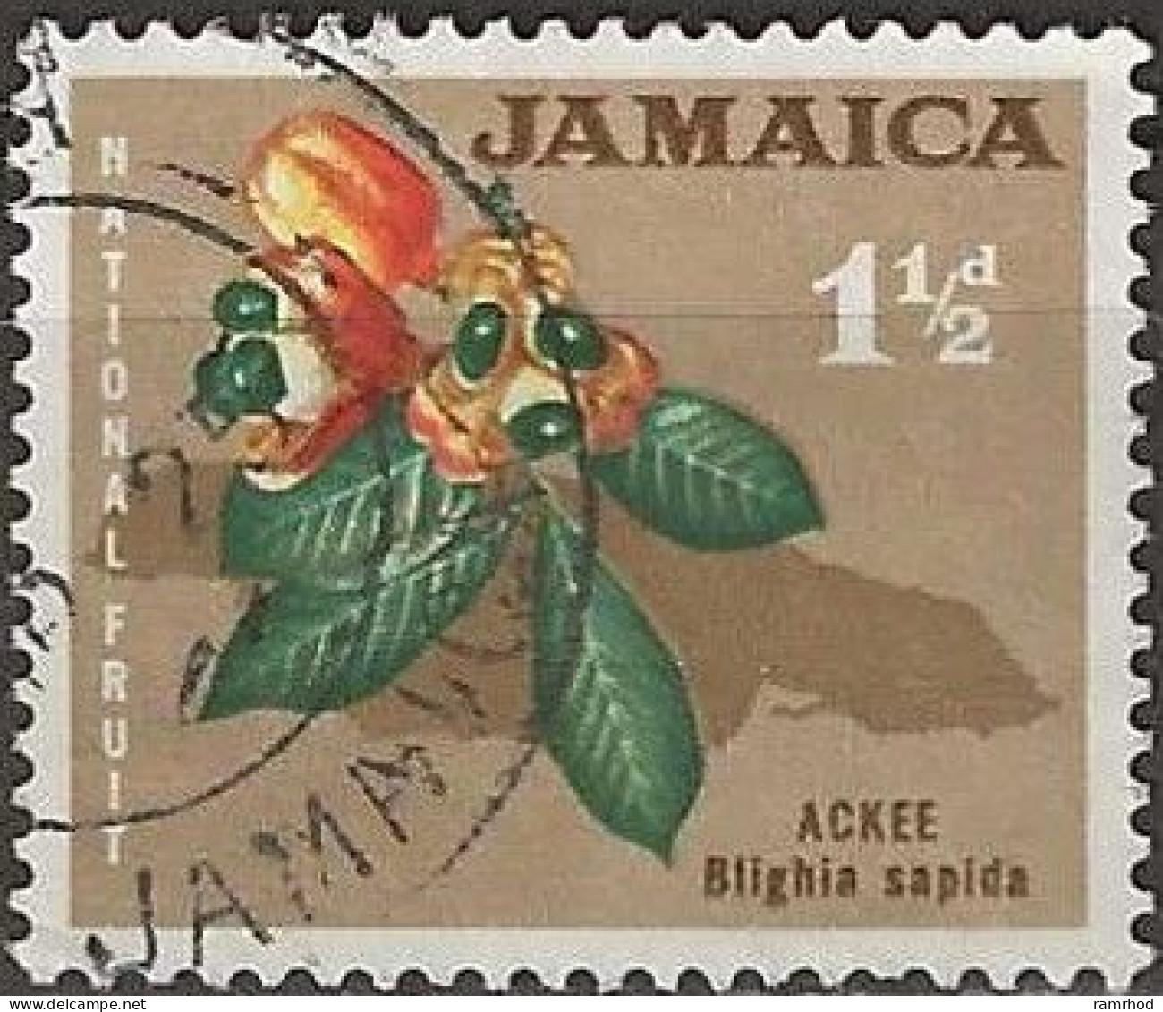 JAMAICA 1964 Ackee (fruit) - 1½d. - Multicoloured FU - Jamaica (1962-...)