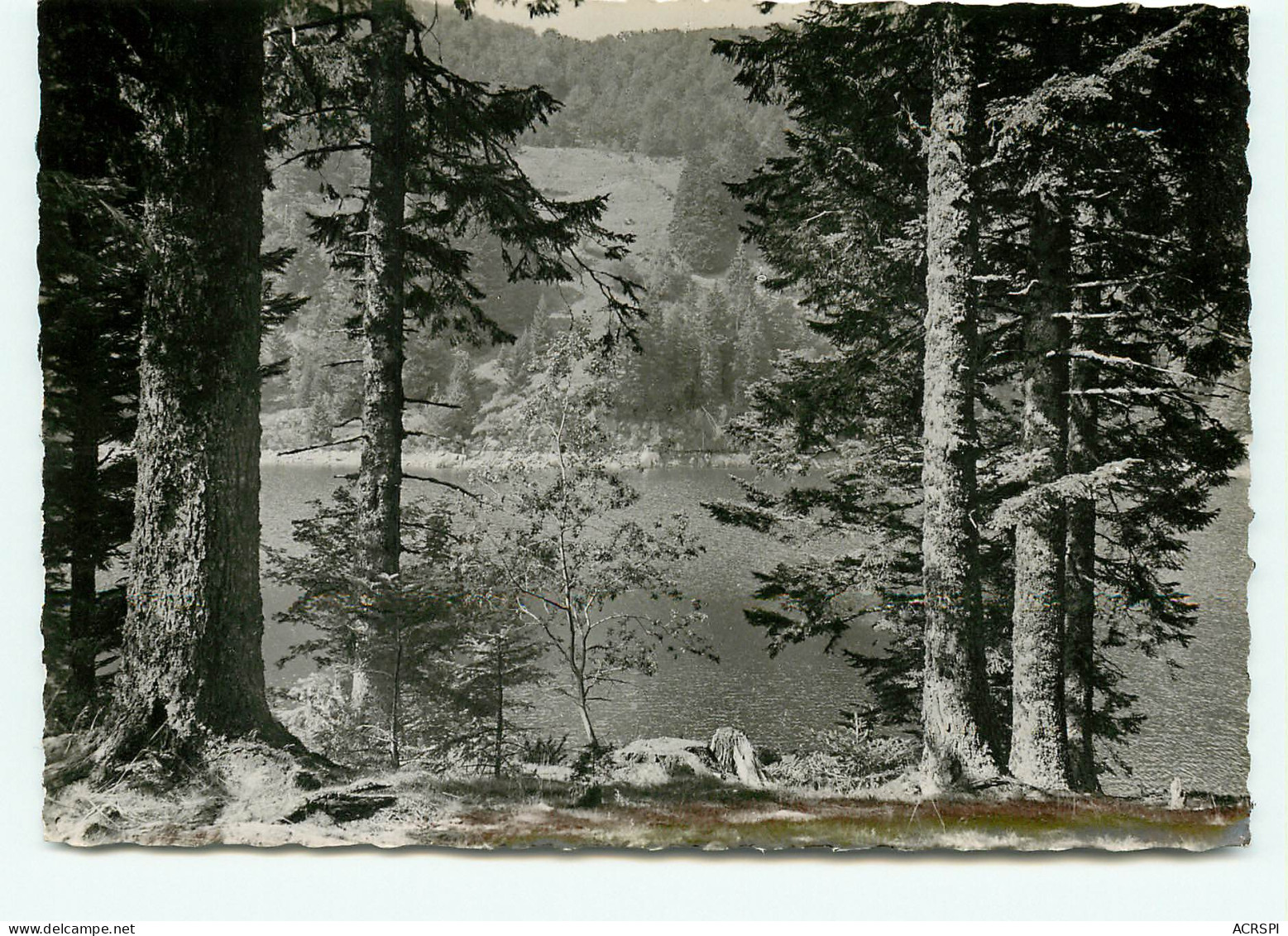 Vallee De Munster, Lac De Soultzeren (scan Recto-verso) KEVREN0030 - Volmunster