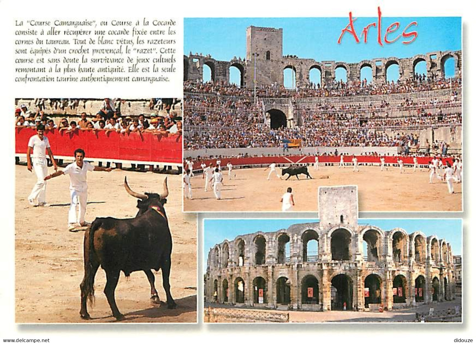 Corrida - Arènes De Arles - Course  à La Cocarde - Multivues - CPM - Voir Scans Recto-Verso - Corridas