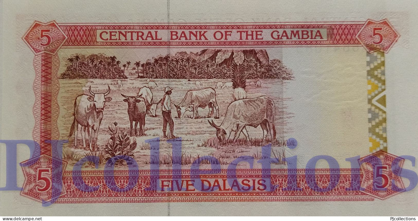 GAMBIA 5 DALASIS 1991/95 PICK 12a UNC - Gambia