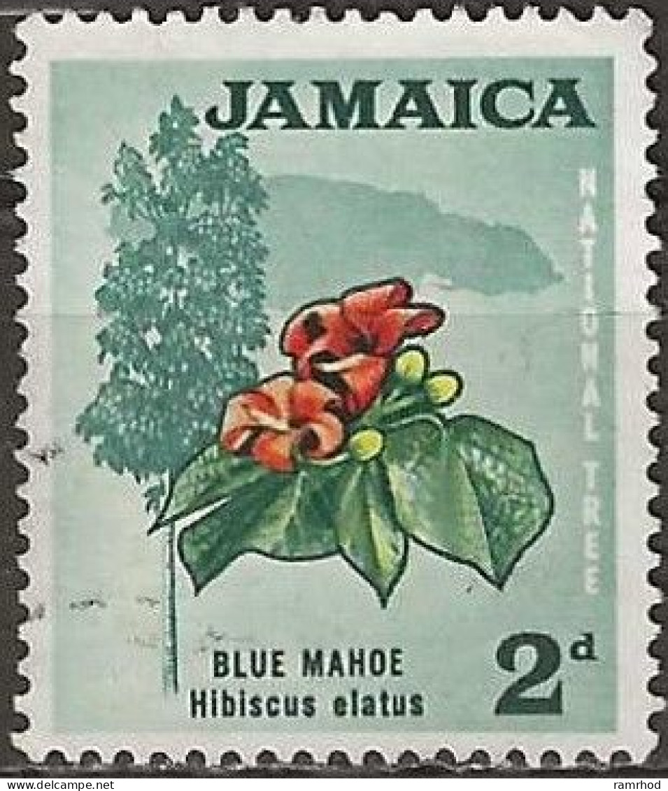 JAMAICA 1964 Blue Mahoe (tree) - 1½d. - Multicoloured FU - Jamaica (1962-...)