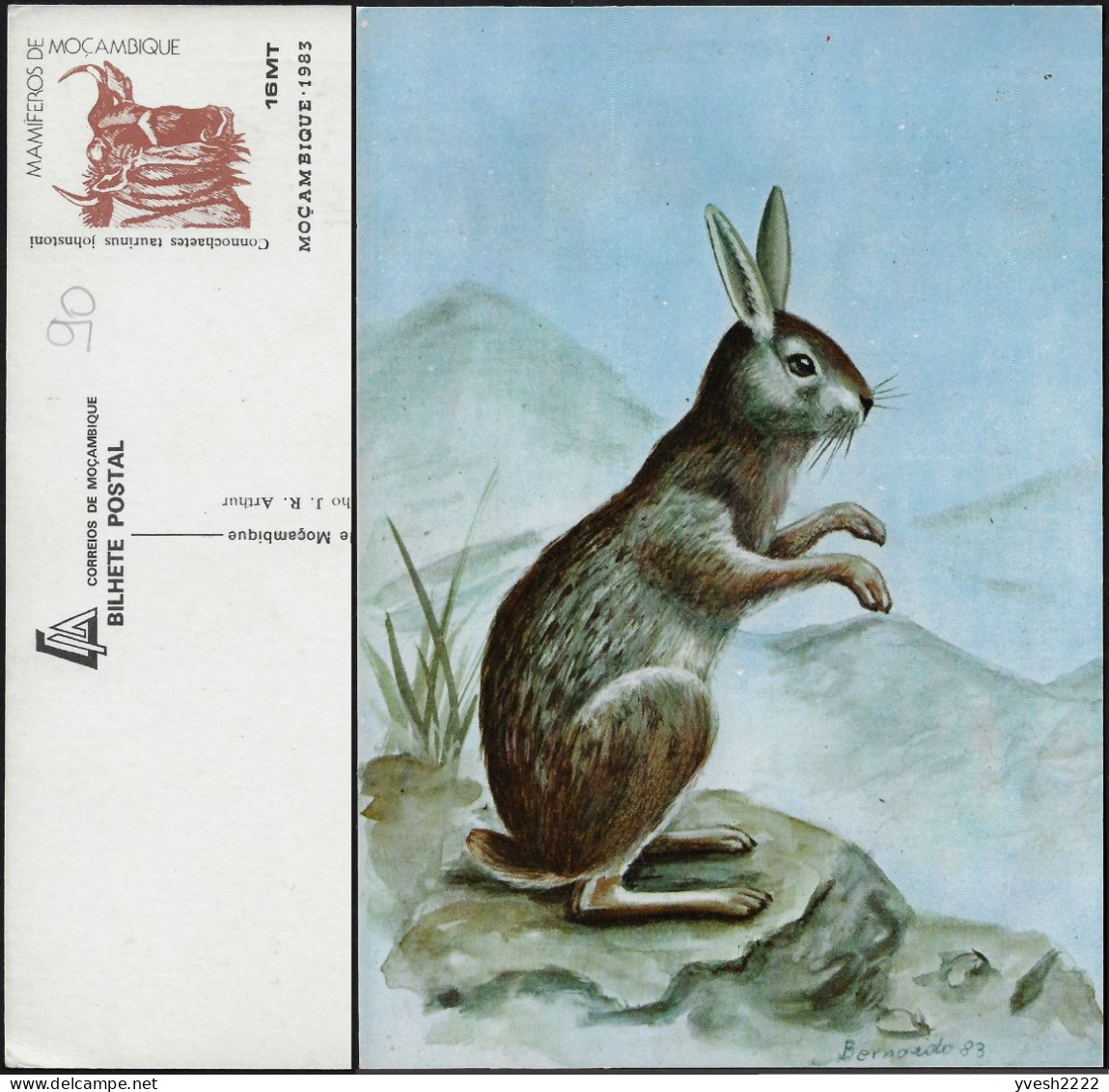 Mozambique 1983. Entier Postal Illustré. Lapin - Conejos