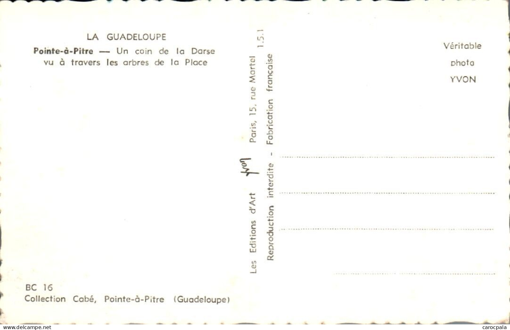 Carte 1960 Pointe à Pitre : Un Coin De La Darse Vu à Travers Les Arbres De La Place - Pointe A Pitre