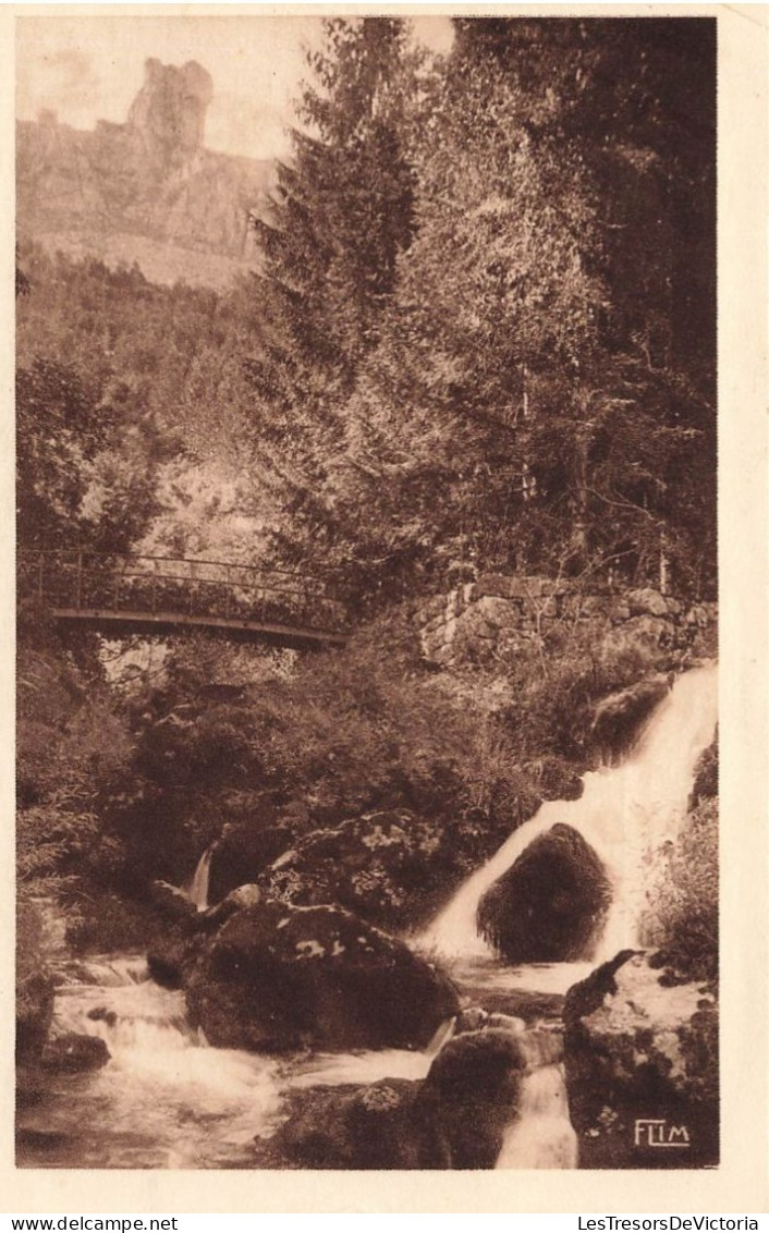 FRANCE - Florac - La Source Du Pêcher - Pont - Carte Postale Ancienne - Autres & Non Classés