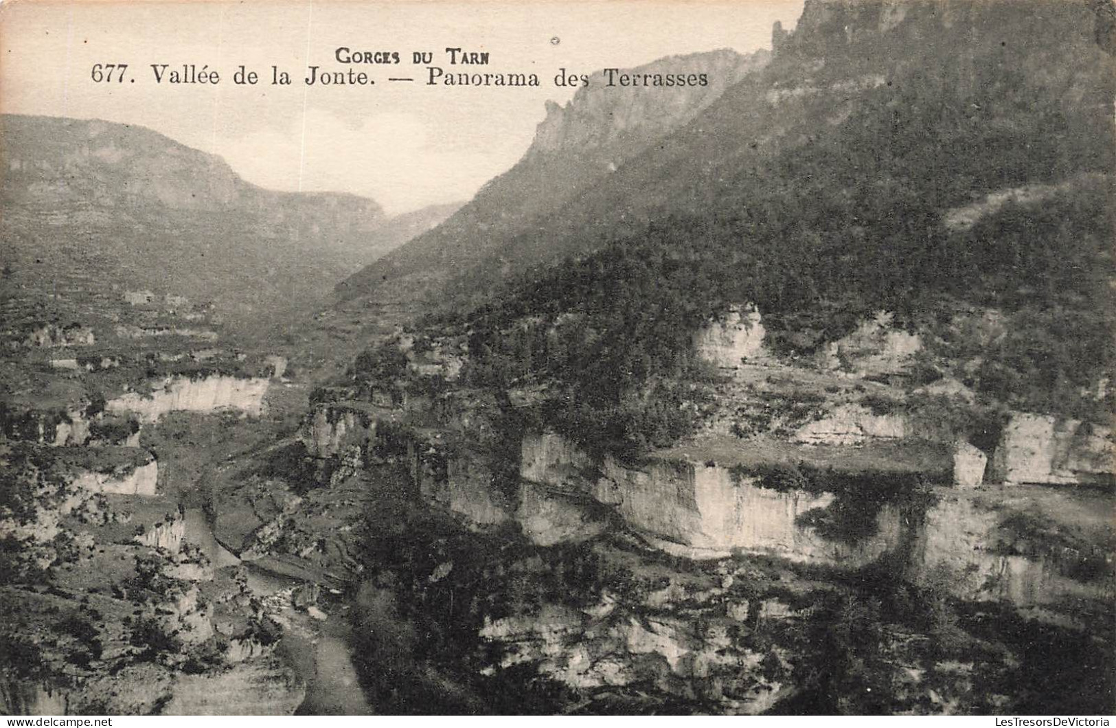 FRANCE - Gorges Du Tarn - Vallée De La Jonte - Panorama Des Terrasses - Carte Postale Ancienne - Other & Unclassified