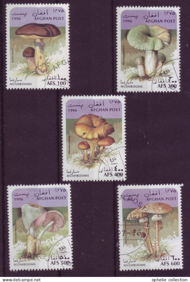 Asie - Afghanistan - 1996 - Mushrooms - 5 Timbres Différents - 6655 - Afghanistan