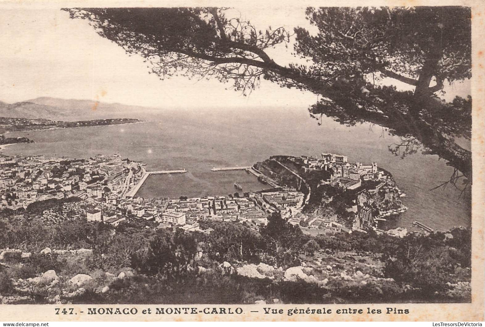 MONACO - Monaco Et Monte Carlo - Vue Générale Entre Les Pins - Carte Postale Ancienne - Monte-Carlo