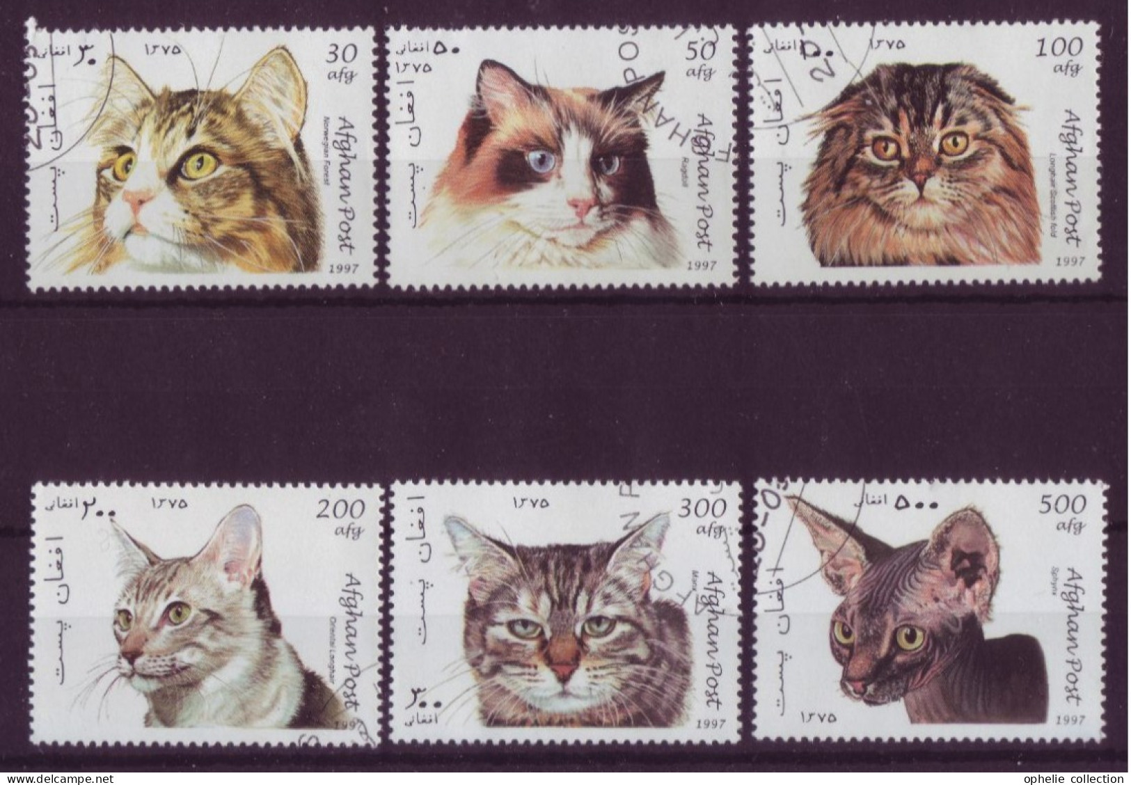 Asie - Afghanistan - 1997 - Chats - 6 Timbres Différents - 6658 - Afghanistan