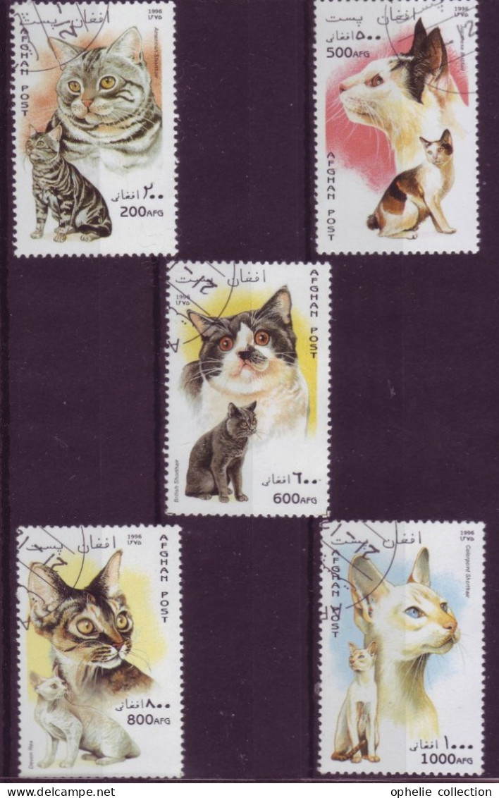Asie - Afghanistan - 1995 - Chats - 5 Timbres Différents - 6659 - Afghanistan