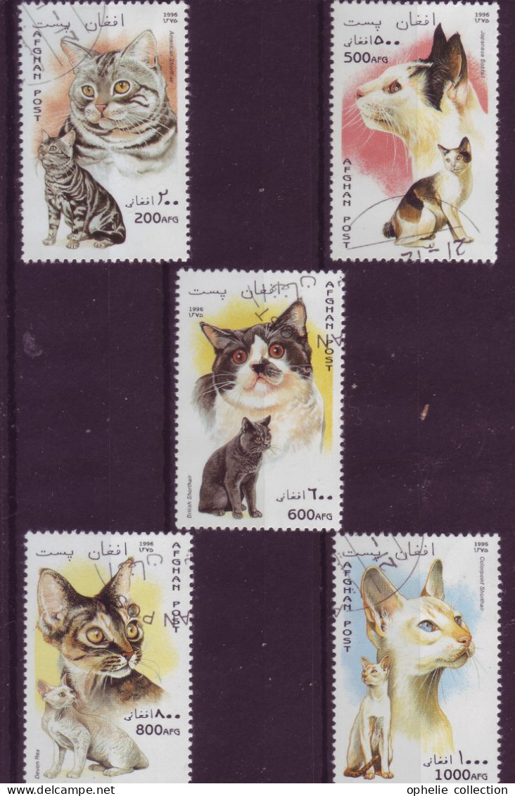 Asie - Afghanistan - 1996 - Chats - 5 Timbres Différents - 6660 - Afghanistan