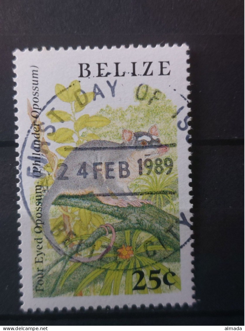 Belize 1989: Michel 1014 Used,  Gestempelt - Belize (1973-...)