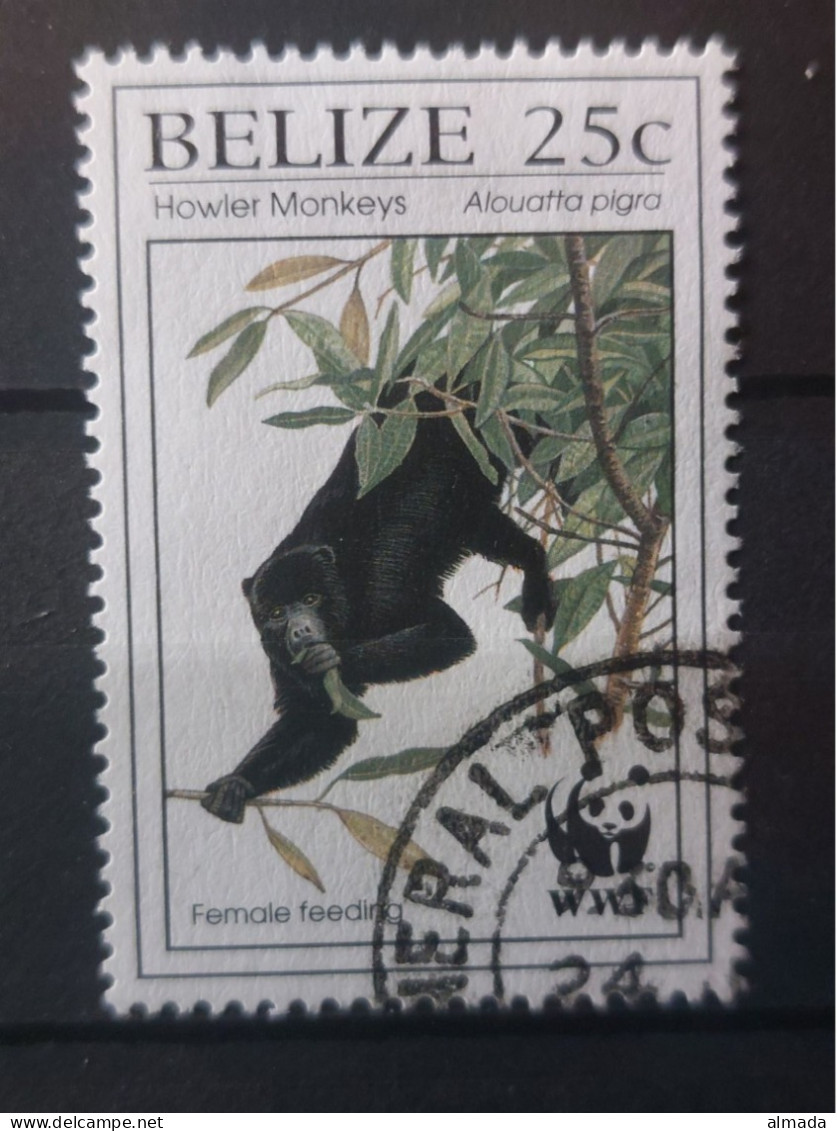 Belize 1997: Michel 1183 Used,  Gestempelt - Belice (1973-...)