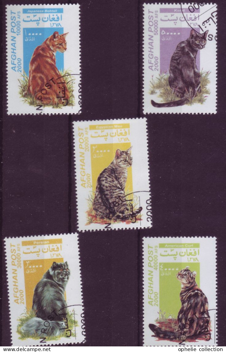 Asie - Afghanistan - 2000 - Chats - 5 Timbres Différents - 6665 - Afghanistan