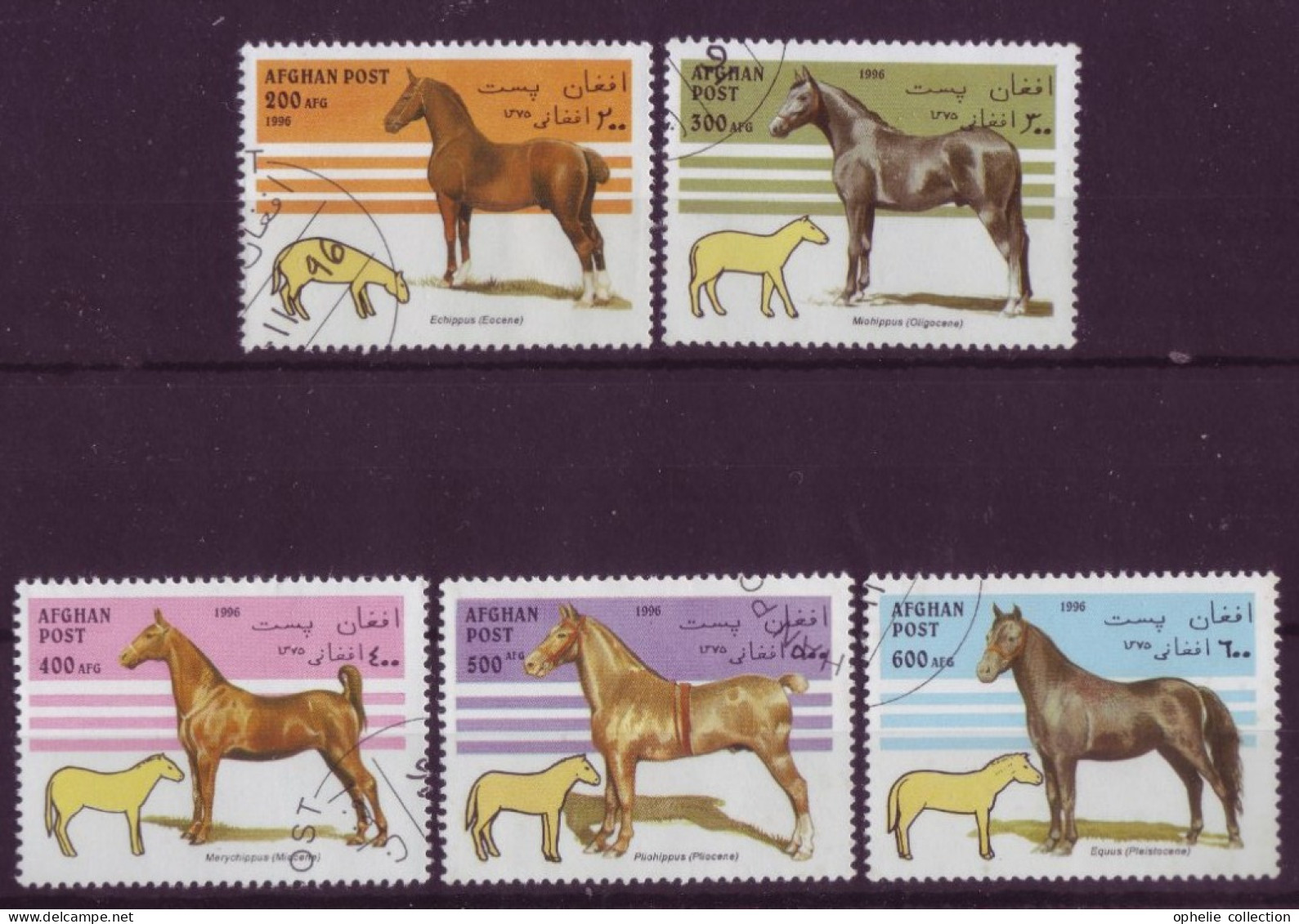 Asie - Afghanistan - 1996 - Chevaux - 5 Timbres Différents - 6671 - Afghanistan