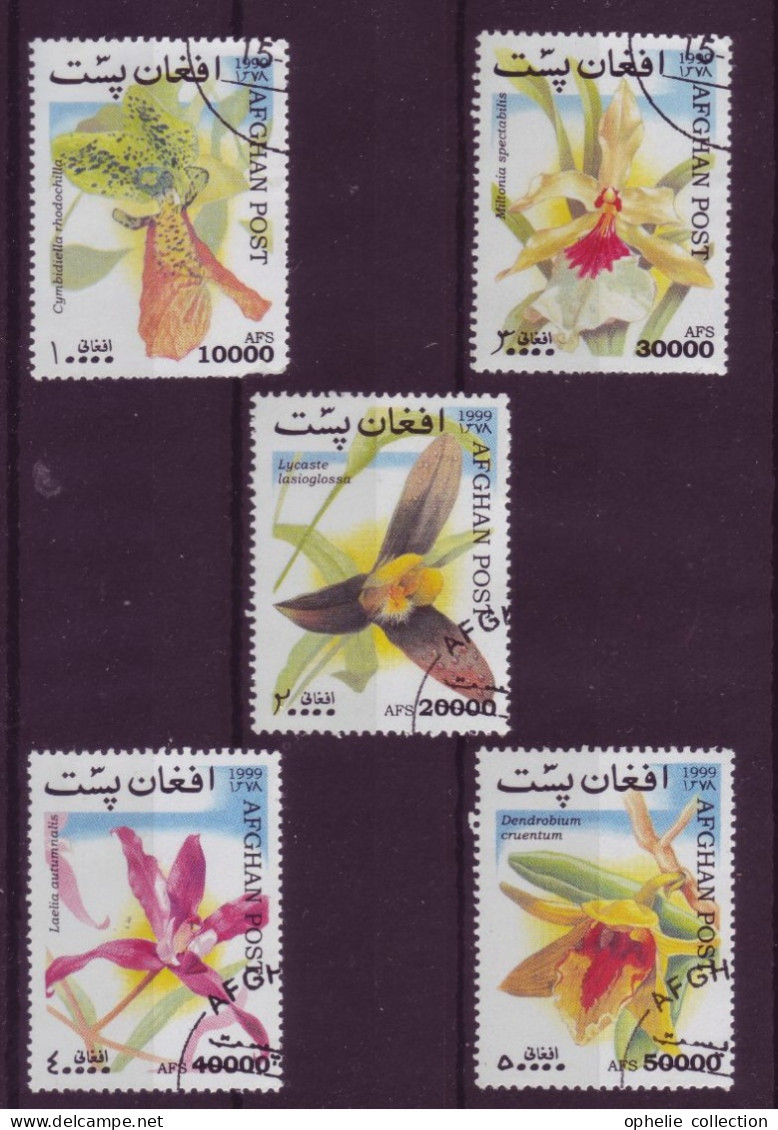 Asie - Afghanistan - 1999 - Flore - 5 Timbres Différents - 6672 - Afghanistan