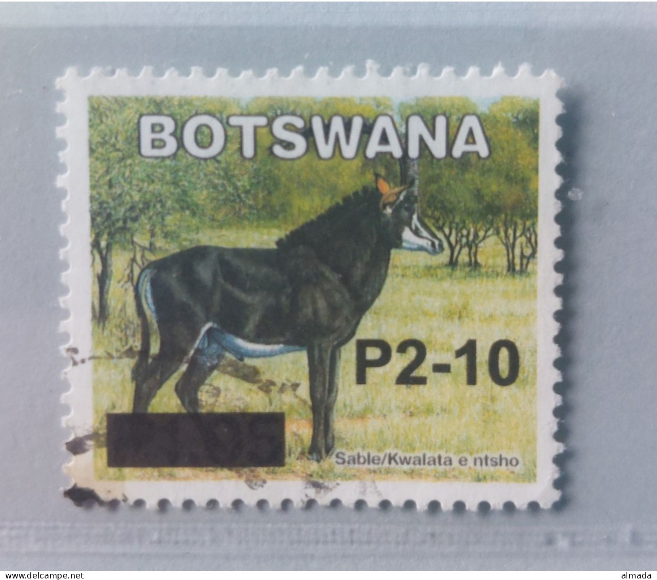 Botswana 2006: Michel 826 Used, Gestempelt - Botswana (1966-...)