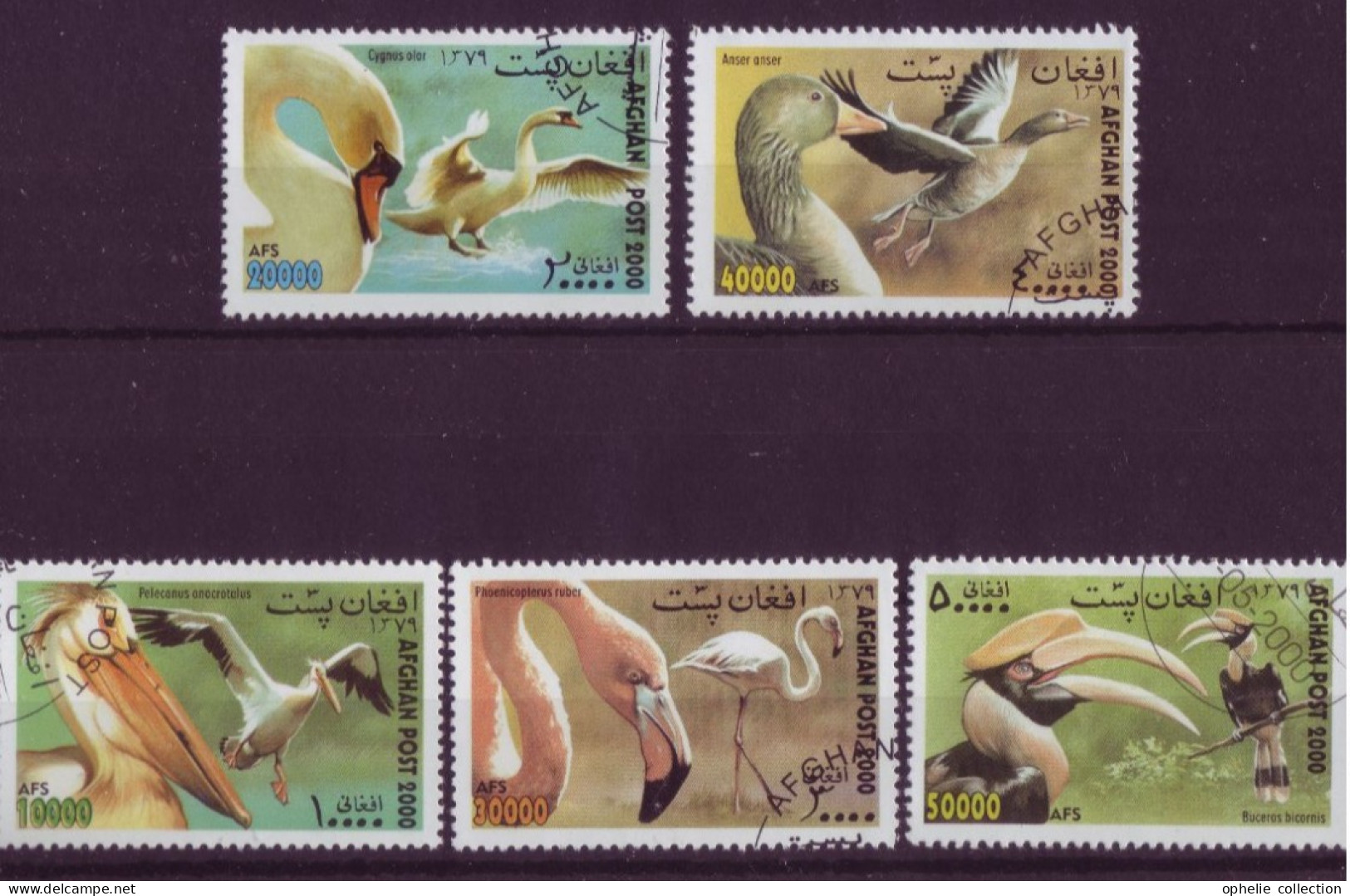 Asie - Afghanistan - Oiseaux - 5 Timbres Différents - 6677 - Afghanistan