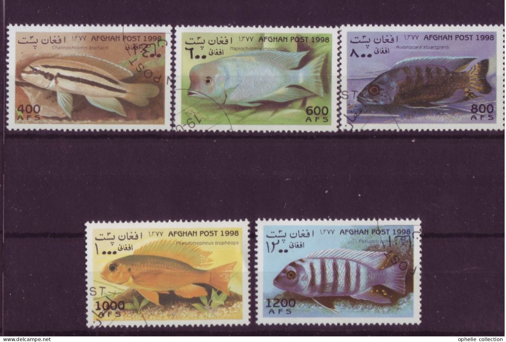 Asie - Afghanistan - Poissons - 5 Timbres Différents - 6685 - Afghanistan