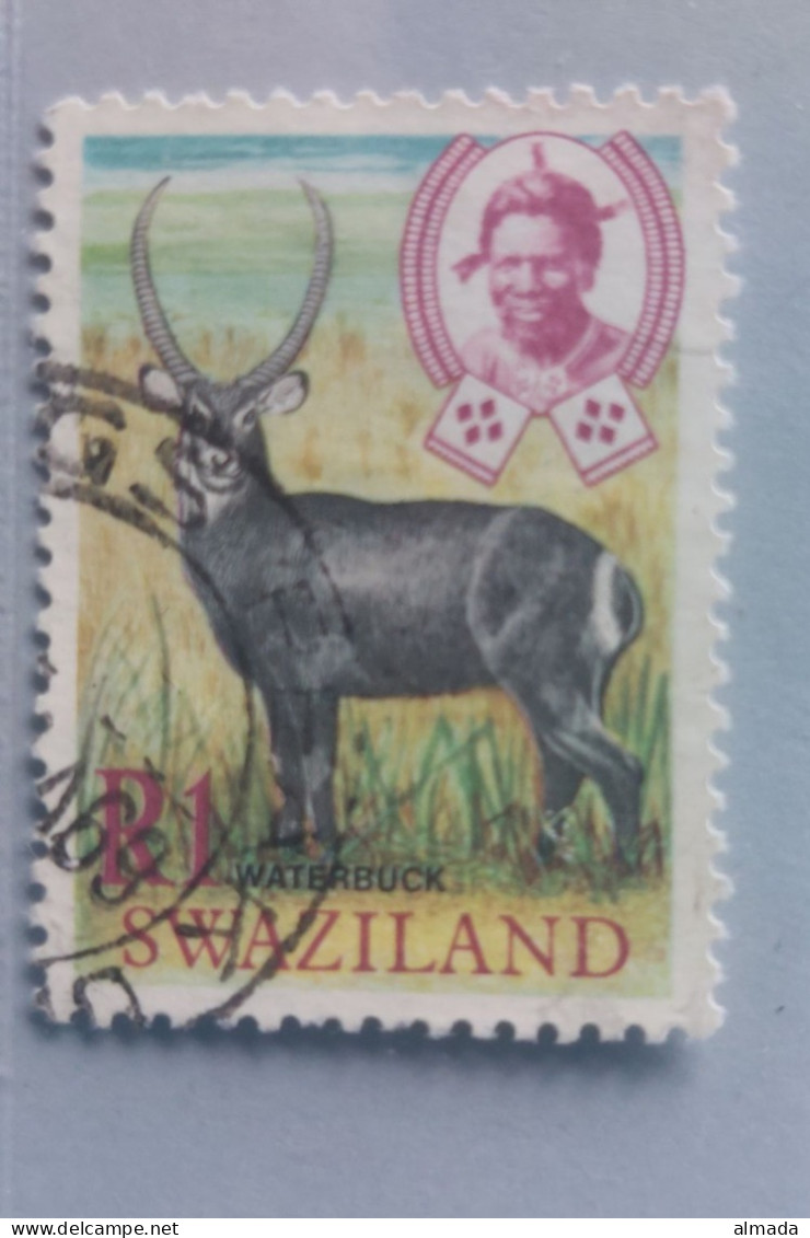 Swasiland 1969: Michel 173 Used, Gestempelt - Swaziland (1968-...)