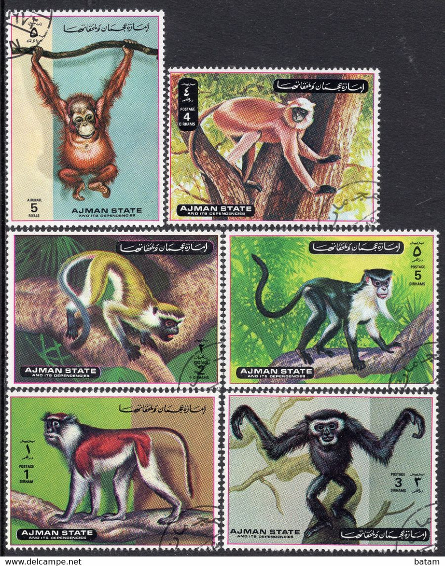 244 - Ajman - Monkeys - Used Set - Affen