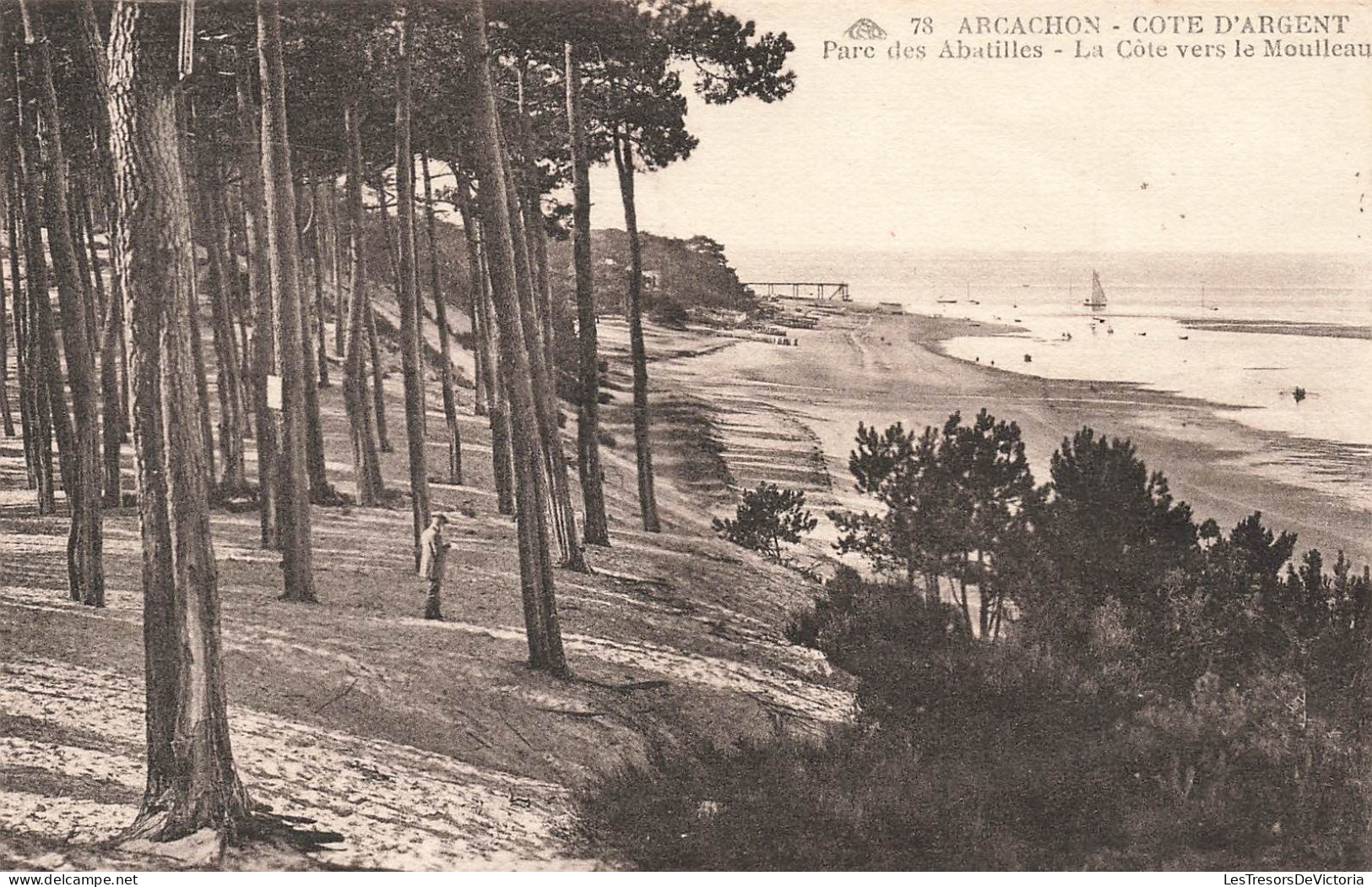 FRANCE - Arcachon - Côte D'Argent - Parc Des Abatilles - La Côte Vers Le Moulleau - Carte Postale Ancienne - Arcachon