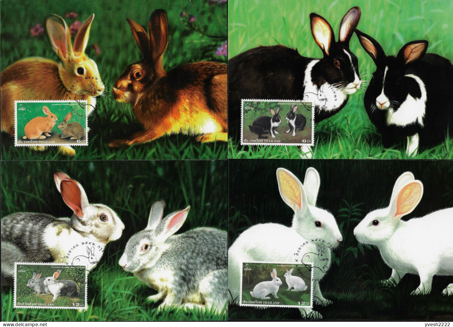 Thaïlande 1999 Y&T 1873 à 1876 Sur Cartes Maxima. Lapins De Toutes Les Couleurs - Rabbits
