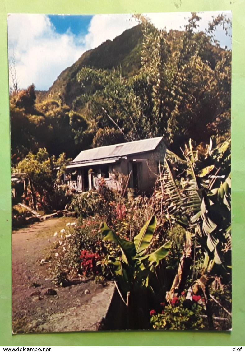 LA REUNION , Les Hauts De L'Ile , Maison D'habitation,  Années 70, Ed Cladere, TB - Saint Denis