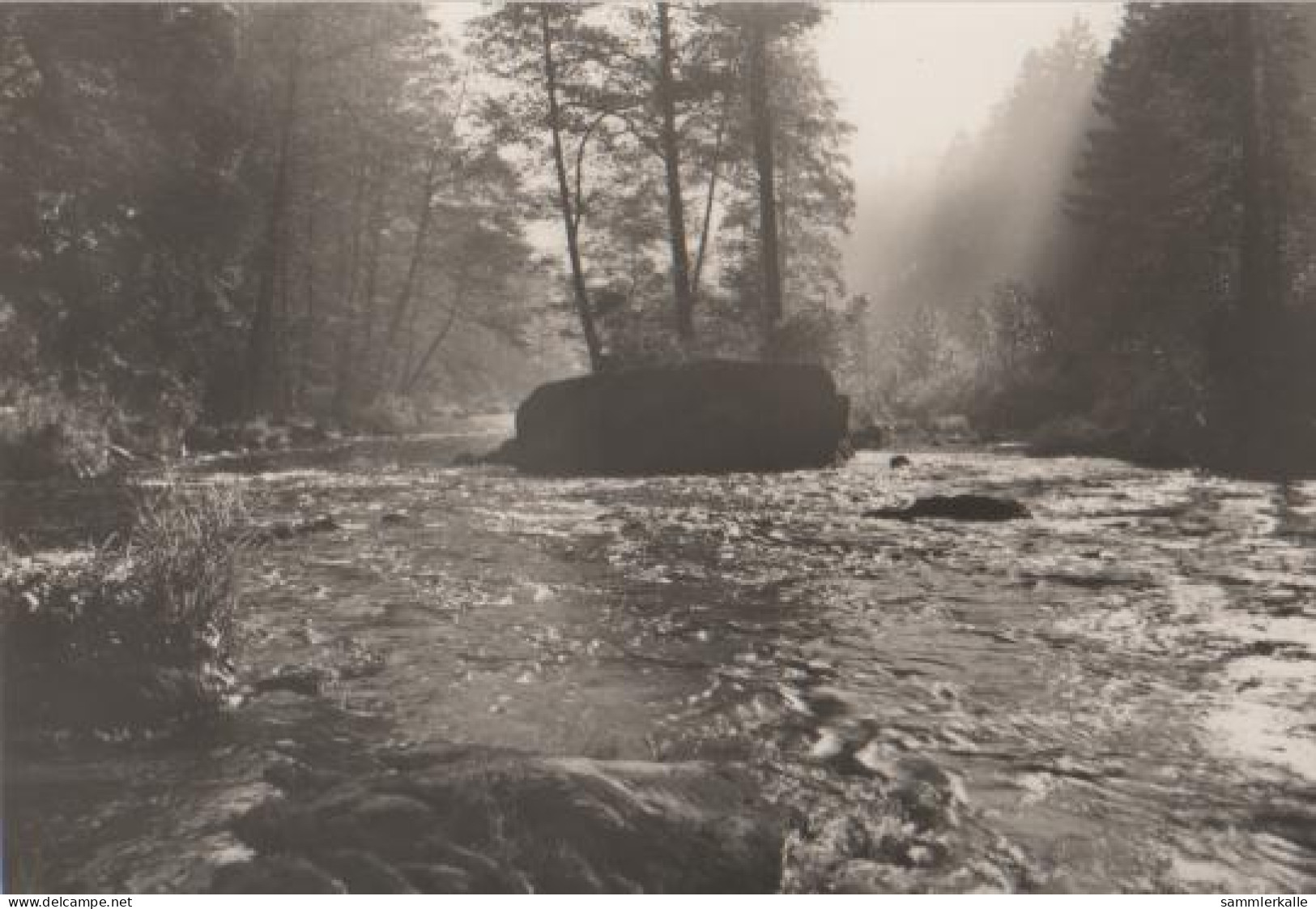 15183 - Scheibe-Alsbach - Schwarzatal - Morgenstimmung - Ca. 1975 - Sonneberg